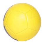 SOCCER BALLS